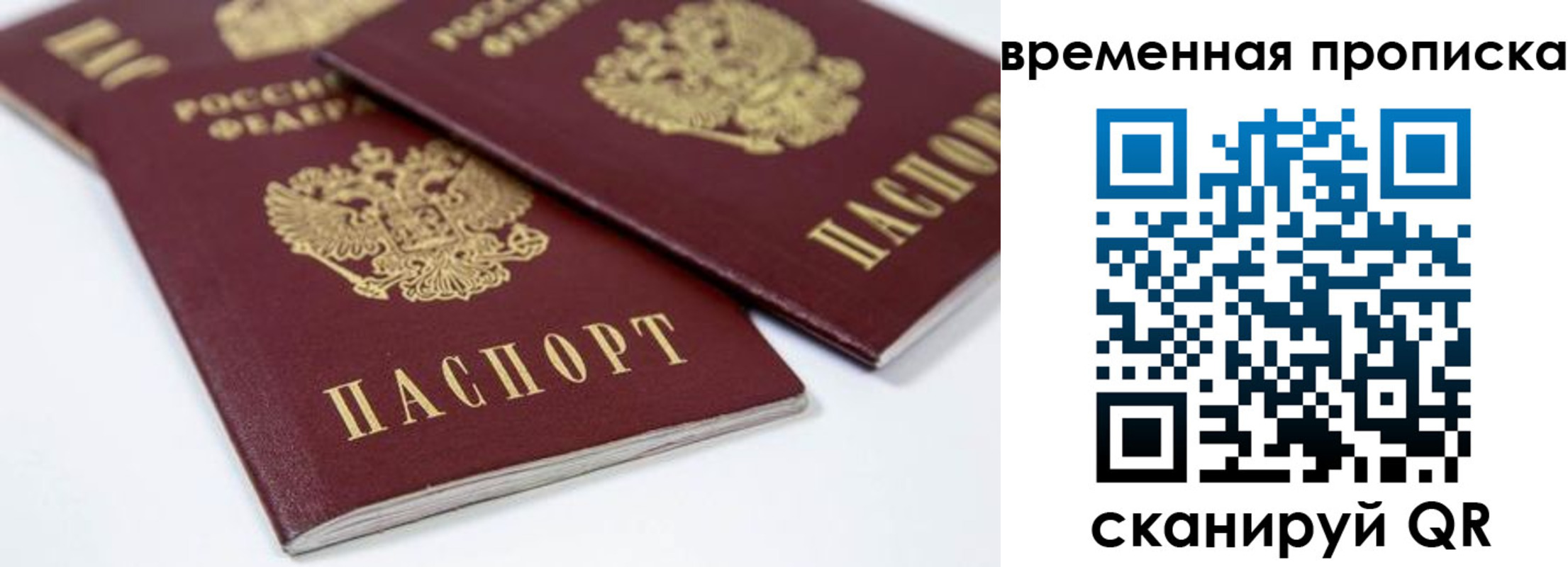 прописка для школы в Новгородской области